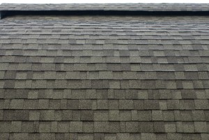 Roof Shingles professional